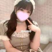 ヒメ日記 2026/02/26 00:08 投稿 宮園もも メイドin中野（東京ハレ系）