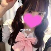 ヒメ日記 2026/03/13 15:51 投稿 宮園もも メイドin中野（東京ハレ系）