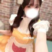 ヒメ日記 2026/03/16 00:36 投稿 宮園もも メイドin中野（東京ハレ系）