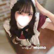 ヒメ日記 2026/04/09 00:11 投稿 宮園もも メイドin中野（東京ハレ系）