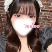 宮園もも かわいいの秘密 メイドin中野（東京ハレ系）