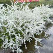 相原ゆみ 暑いー 川崎南町 素敵な奥様（川崎ハレ系）