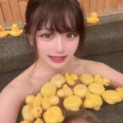 ヒメ日記 2025/10/21 06:24 投稿 うゆ チューリップ福井別館