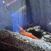 ヒメ日記 2025/11/20 08:22 投稿 こと【FG系列】 ハンドdeフィーリングin横浜（FG系列）