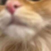 ヒメ日記 2025/10/23 15:26 投稿 ぴの 金瓶梅(きんぺいぱい)(雄琴)