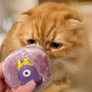 ヒメ日記 2025/11/02 04:24 投稿 ぴの 金瓶梅(きんぺいぱい)(雄琴)