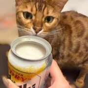 ヒメ日記 2025/11/19 03:54 投稿 ぴの 金瓶梅(きんぺいぱい)(雄琴)