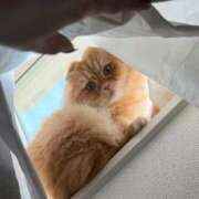 ヒメ日記 2025/11/20 08:04 投稿 ぴの 金瓶梅(きんぺいぱい)(雄琴)