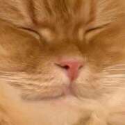 ヒメ日記 2025/12/06 21:20 投稿 ぴの 金瓶梅(きんぺいぱい)(雄琴)