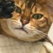 ヒメ日記 2025/12/19 04:24 投稿 ぴの 金瓶梅(きんぺいぱい)(雄琴)