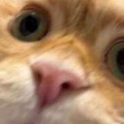 ヒメ日記 2025/12/23 04:34 投稿 ぴの 金瓶梅(きんぺいぱい)(雄琴)