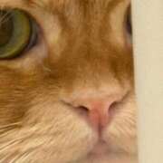 ヒメ日記 2025/12/24 13:44 投稿 ぴの 金瓶梅(きんぺいぱい)(雄琴)