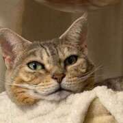 ヒメ日記 2026/01/14 21:19 投稿 ぴの 金瓶梅(きんぺいぱい)(雄琴)