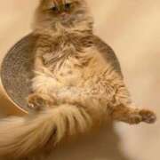 ヒメ日記 2026/02/05 05:04 投稿 ぴの 金瓶梅(きんぺいぱい)(雄琴)