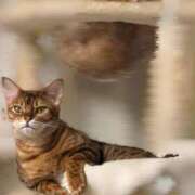 ヒメ日記 2026/02/07 10:14 投稿 ぴの 金瓶梅(きんぺいぱい)(雄琴)