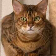 ヒメ日記 2026/03/25 04:34 投稿 ぴの 金瓶梅(きんぺいぱい)(雄琴)