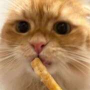 ヒメ日記 2026/04/04 03:54 投稿 ぴの 金瓶梅(きんぺいぱい)(雄琴)