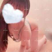 ヒメ日記 2026/04/21 12:06 投稿 ぴの 金瓶梅(きんぺいぱい)(雄琴)