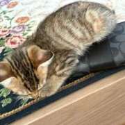 ヒメ日記 2025/10/09 23:40 投稿 あおい 愛知三河安城岡崎ちゃんこ