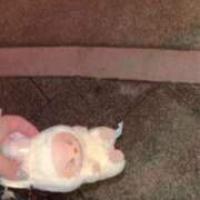 ヒメ日記 2025/10/31 04:39 投稿 ゆうあ スピードエコ日本橋店