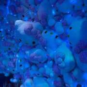 ヒメ日記 2025/10/11 20:44 投稿 かなた【性感】 性感エステBianca豊中店