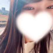 ヒメ日記 2025/11/24 13:12 投稿 あゆみ【清楚系素人美女】 STELLA TOKYO－ステラトウキョウ－