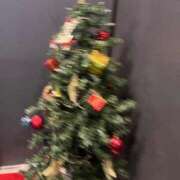 ヒメ日記 2025/11/26 00:34 投稿 あゆみ【清楚系素人美女】 STELLA TOKYO－ステラトウキョウ－