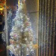 ヒメ日記 2025/12/03 20:44 投稿 あゆみ【清楚系素人美女】 STELLA TOKYO－ステラトウキョウ－