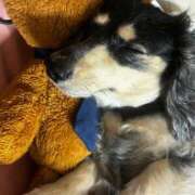 ヒメ日記 2025/09/24 01:27 投稿 もえ ワンダーホール24