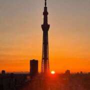 ヒメ日記 2026/03/03 08:00 投稿 瀬名くるみ セレブショップ新宿（東京ハレ系）