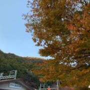 ヒメ日記 2025/11/15 16:54 投稿 あんず 奥様電車