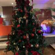 ヒメ日記 2025/11/16 07:59 投稿 あんず 奥様電車