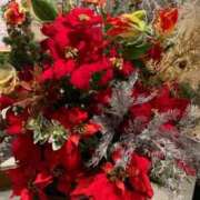 ヒメ日記 2025/11/16 19:54 投稿 あんず 奥様電車