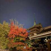 ヒメ日記 2025/11/24 10:32 投稿 あんず 奥様電車