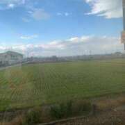 ヒメ日記 2025/11/25 14:20 投稿 あんず 奥様電車