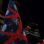 ヒメ日記 2025/12/10 11:44 投稿 あんず 奥様電車