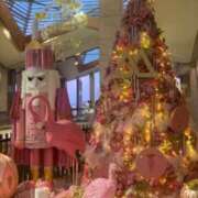 ヒメ日記 2025/12/12 11:34 投稿 あんず 奥様電車