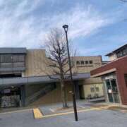 ヒメ日記 2025/12/30 15:52 投稿 あんず 奥様電車