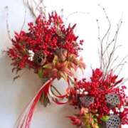 ヒメ日記 2025/12/31 14:01 投稿 あんず 奥様電車