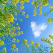 ヒメ日記 2026/03/25 22:13 投稿 あんず 奥様電車