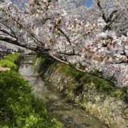 ヒメ日記 2026/04/04 12:08 投稿 あんず 奥様電車