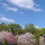 ヒメ日記 2026/04/08 16:27 投稿 あんず 奥様電車