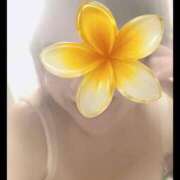 ヒメ日記 2026/04/13 16:45 投稿 あんず 奥様電車