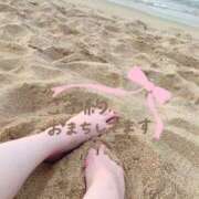 ヒメ日記 2026/04/14 12:10 投稿 あんず 奥様電車