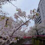 ヒメ日記 2026/04/07 00:00 投稿 あい 桃色クリスタル