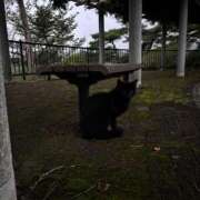 ヒメ日記 2025/09/30 08:02 投稿 きょう 宇都宮発～正統派清楚系デリヘル！ CHERIMO（シェリモ）