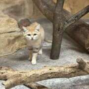 ヒメ日記 2025/10/06 15:02 投稿 きょう 宇都宮発～正統派清楚系デリヘル！ CHERIMO（シェリモ）