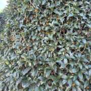 ヒメ日記 2025/10/11 15:04 投稿 きょう 宇都宮発～正統派清楚系デリヘル！ CHERIMO（シェリモ）