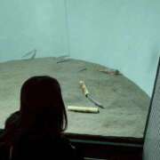 ヒメ日記 2025/10/27 15:03 投稿 きょう 宇都宮発～正統派清楚系デリヘル！ CHERIMO（シェリモ）