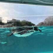 ヒメ日記 2025/10/27 22:32 投稿 きょう 宇都宮発～正統派清楚系デリヘル！ CHERIMO（シェリモ）